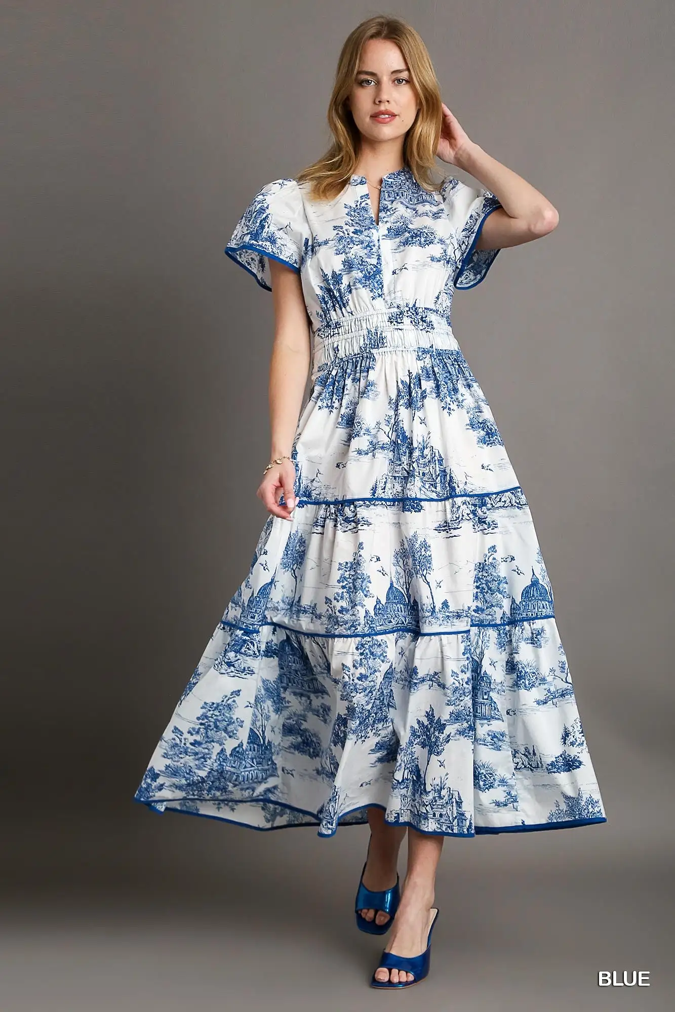 Blue Toile Printed Dress Midi